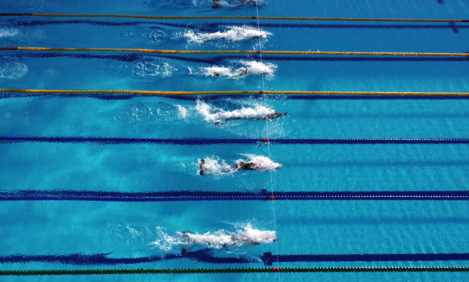 Mundial de Natación con Aletas