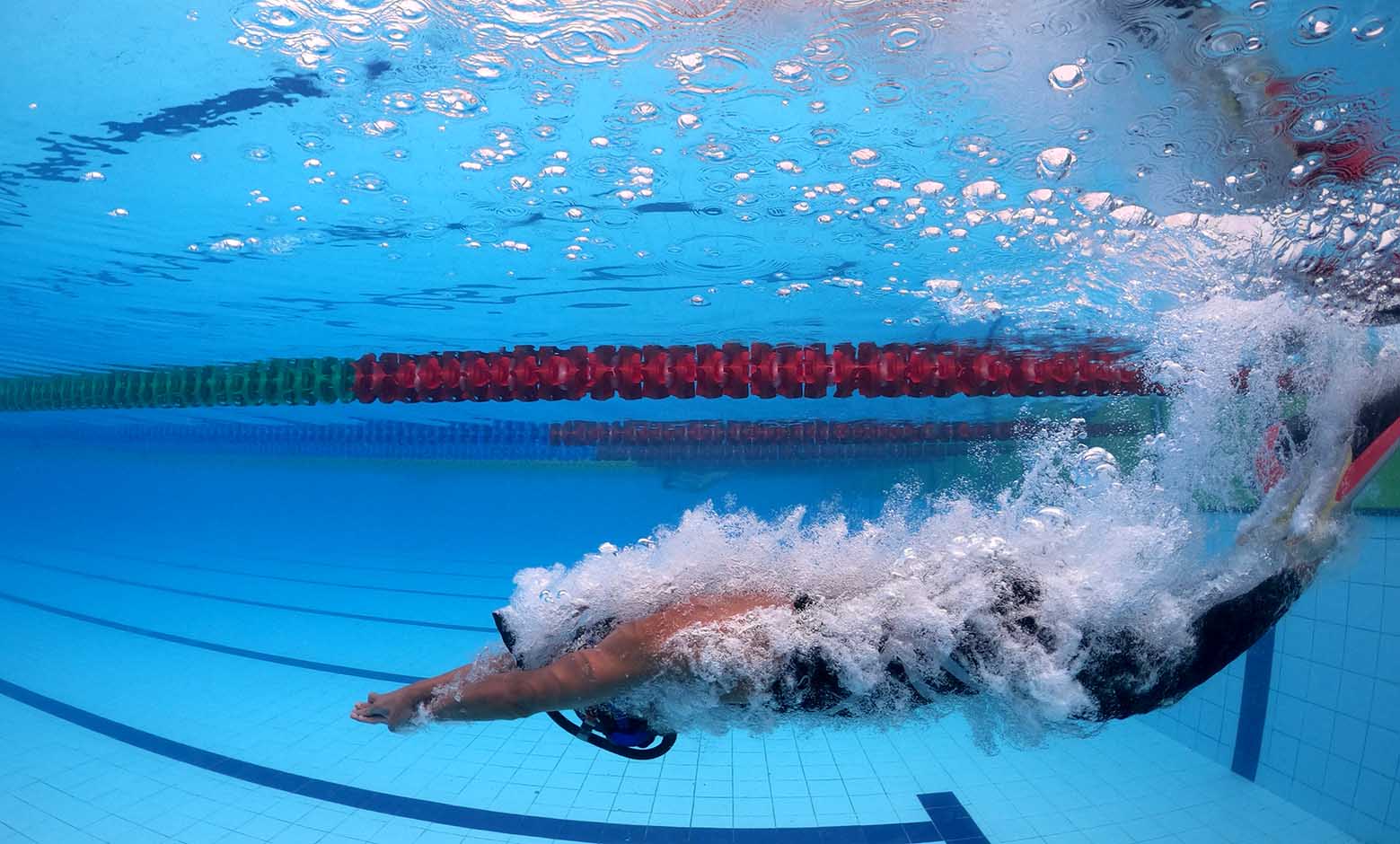 Mundial de Natación con Aletas