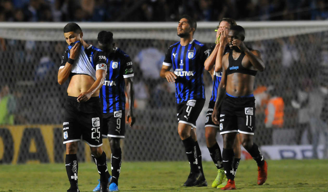 Gallos blancos de Querétaro