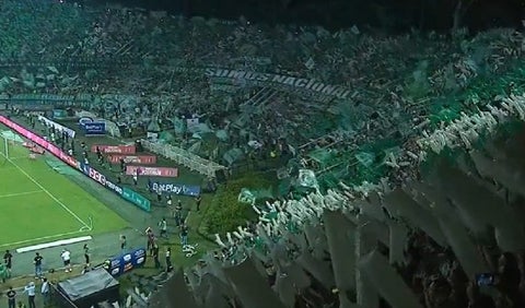 Hinchada de Atlético Nacional