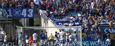 Hinchas de Millonarios en Estados Unidos