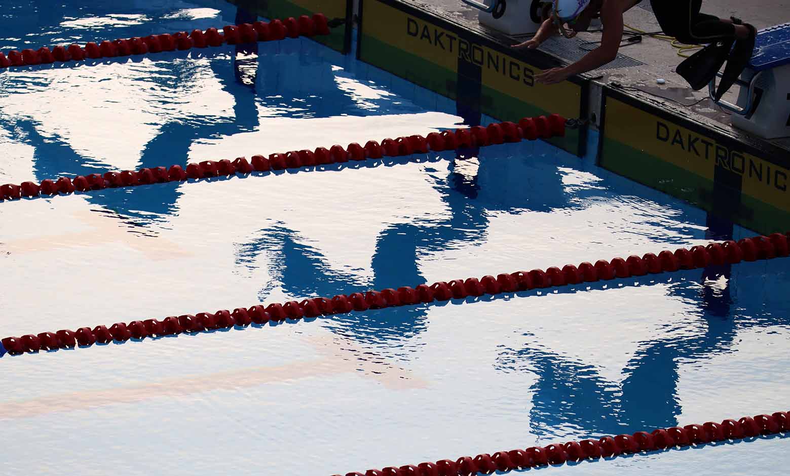 Mundial natación con aletas