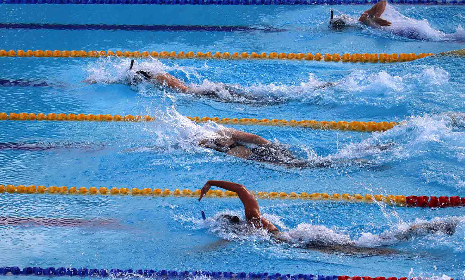 Mundial natación con aletas