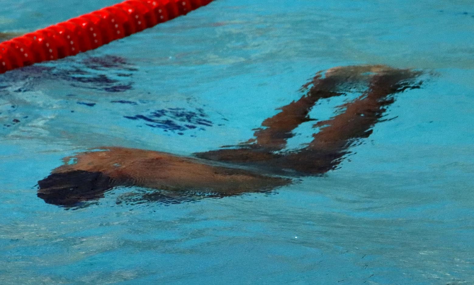 Juegos Parapanamericanos Juveniles 2023 - Sexto día de competencia