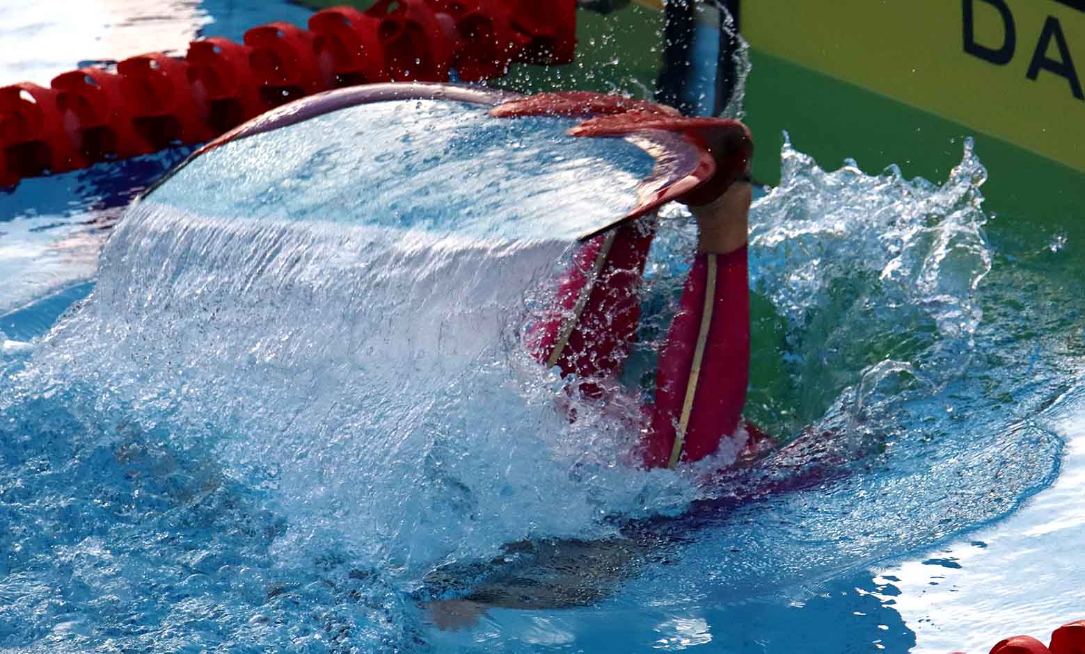 Mundial natación con aletas