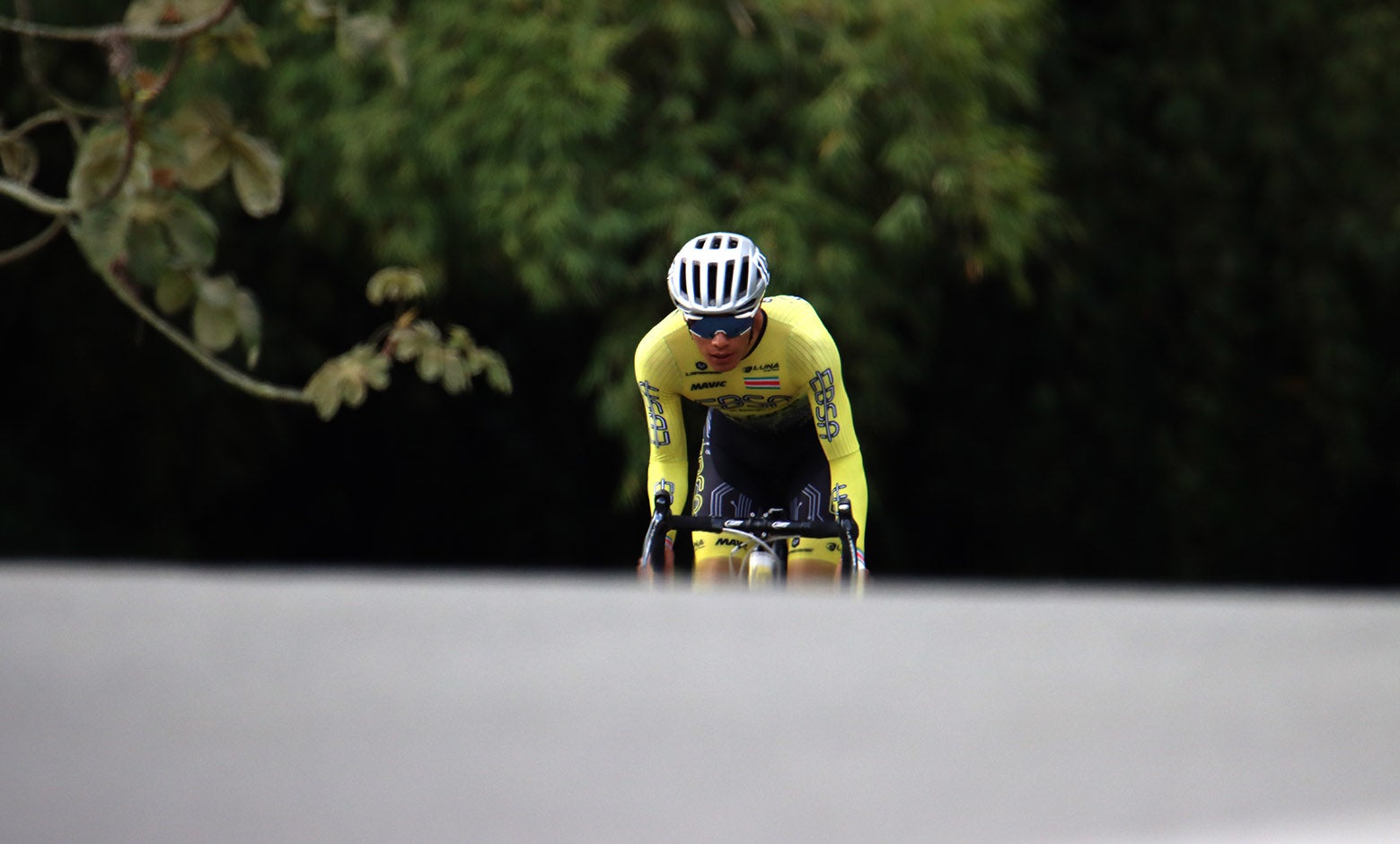 María Fernanda Herazo