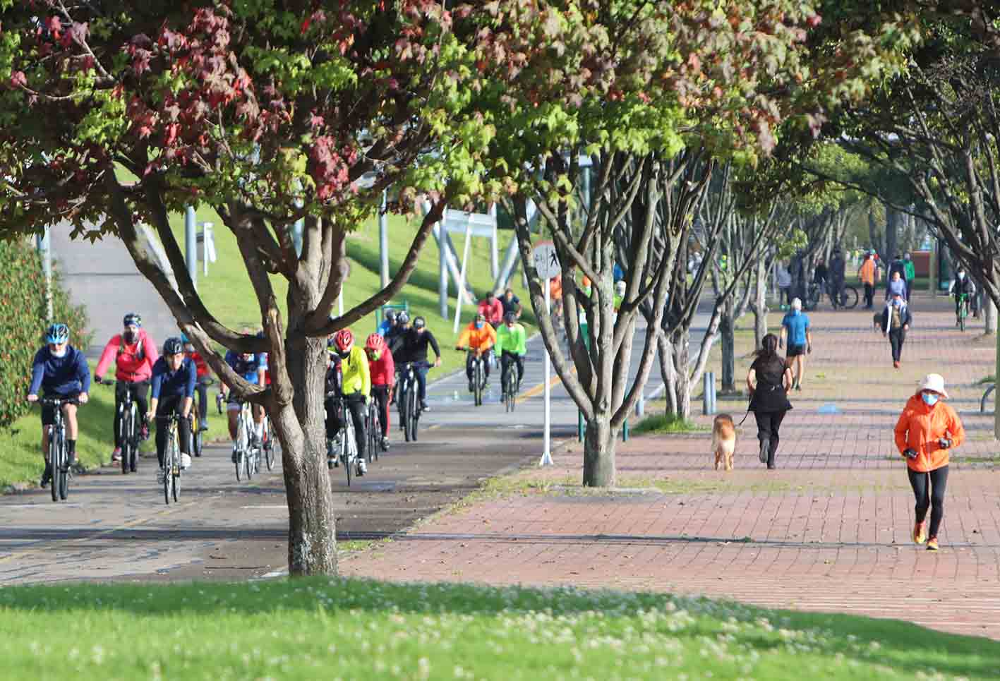 Cuarentena en Bogotá / Deporte en cuarentena / Coronavirus en Colombia