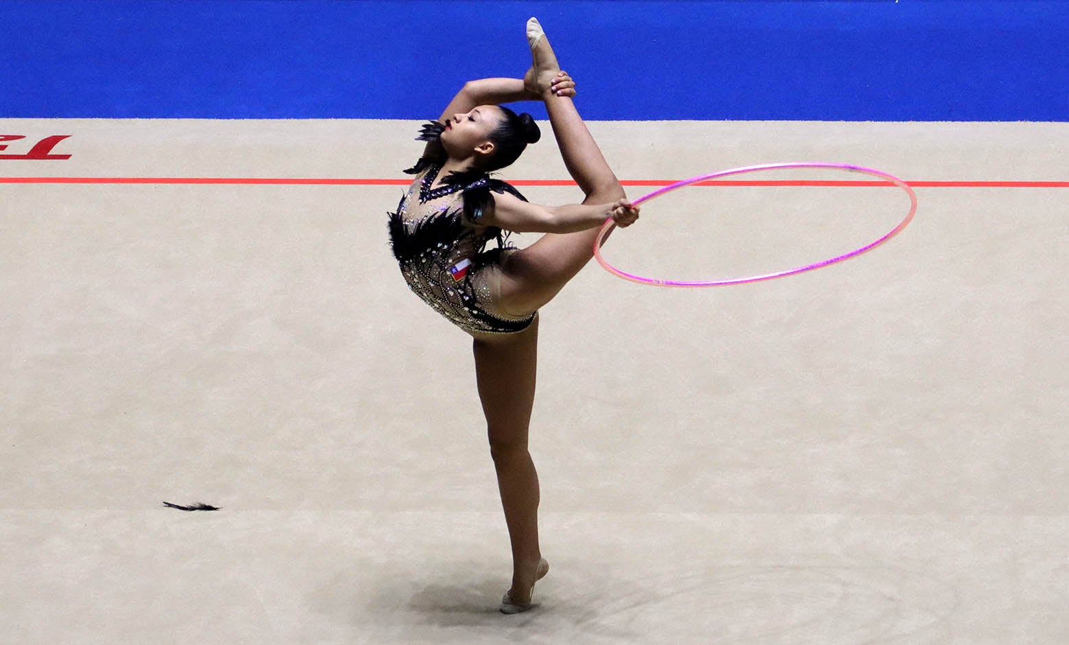 Juegos Panamericanos Junior - Gimnasia