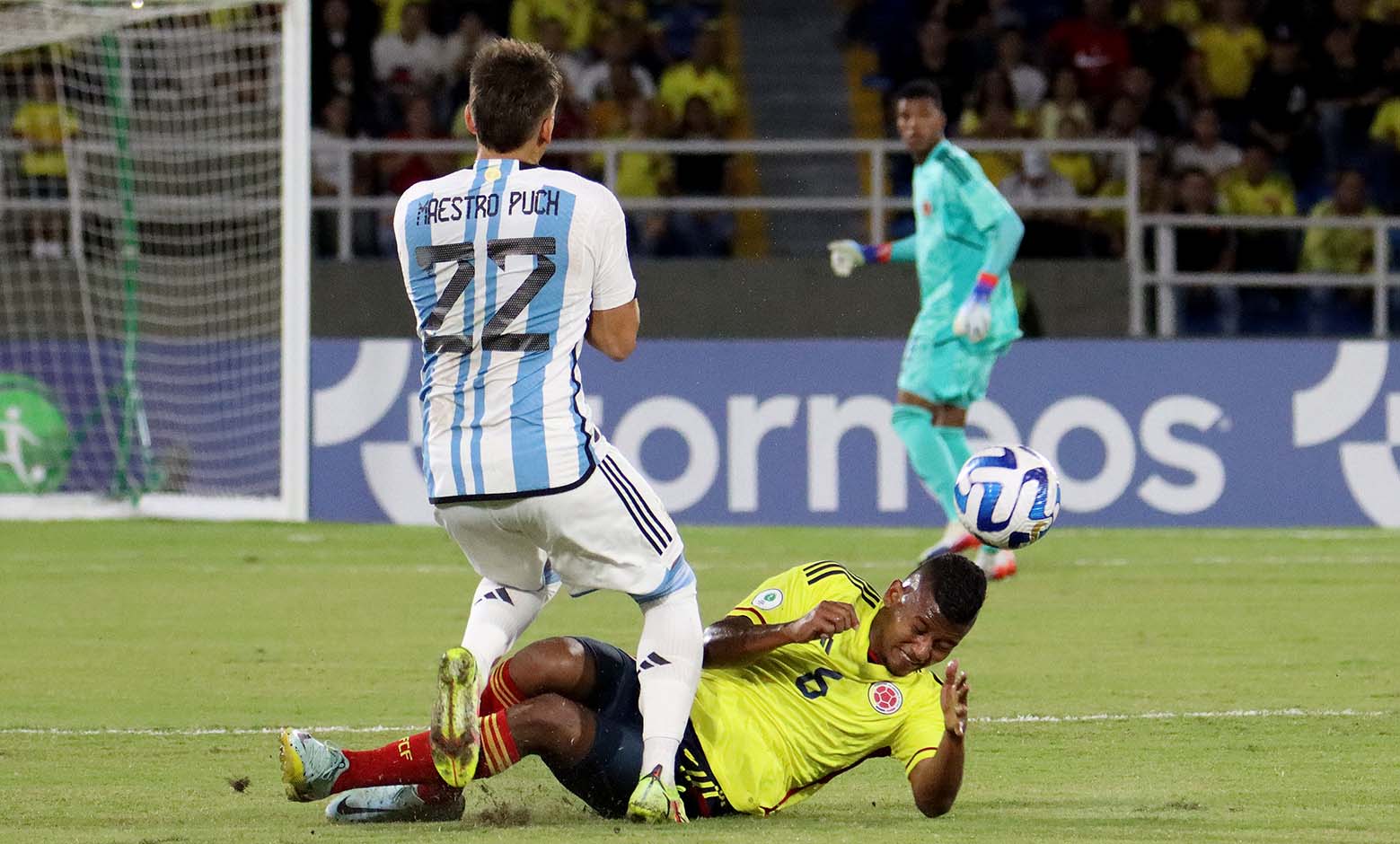 Mundial natación con aletas