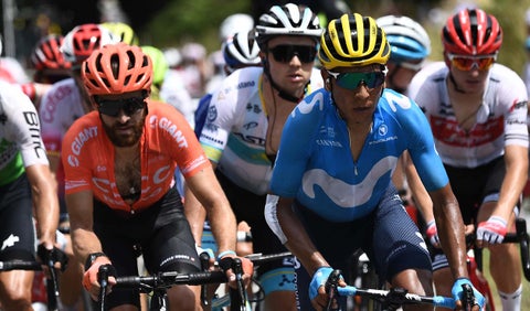 Nairo Quintana - Movistar Team