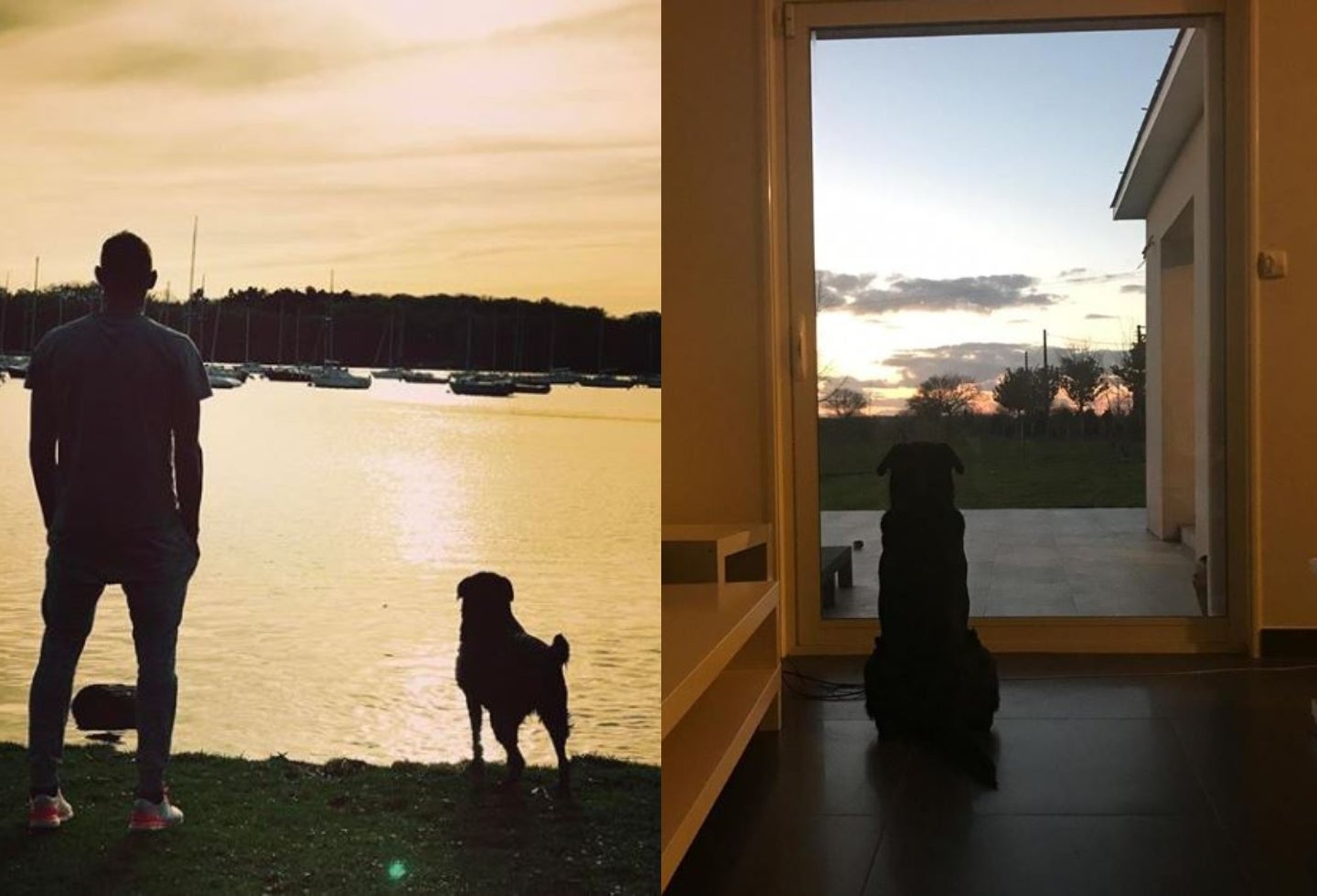 Nala, la mascota de Emiliano Sala