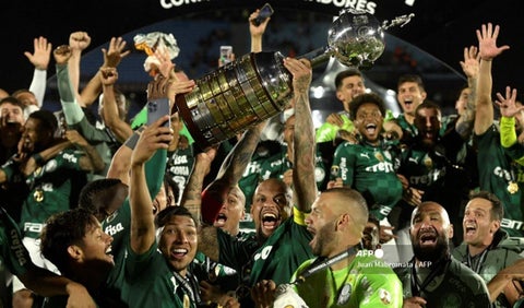 Palmeiras, Copa Libertadores
