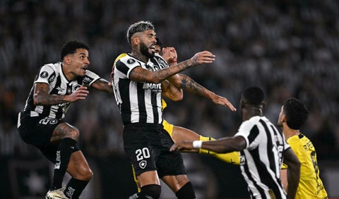 Peñarol vs Botafogo