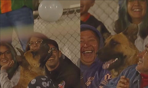 Perrito se robó el show jugando con bomba plástica en una tribuna