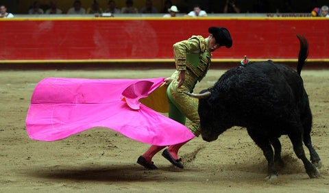 Plaza de Toros La Macarena