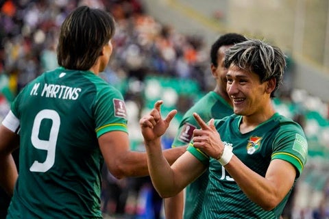 Selección Bolivia, Eliminatorias sudamericanas