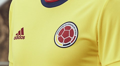 Selección Colombia, Copa América