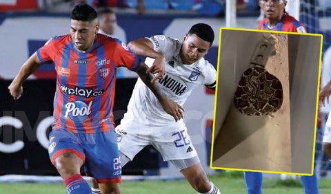 Serpiente apareció en el partido entre Unión y Millonarios