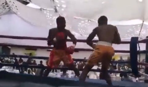 Captura de pantalla nocaut boxeador