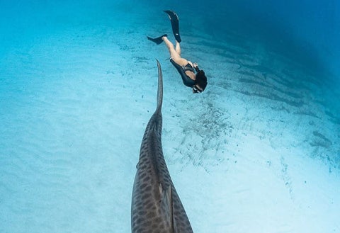 Sofía Gómez, apneista colombiana