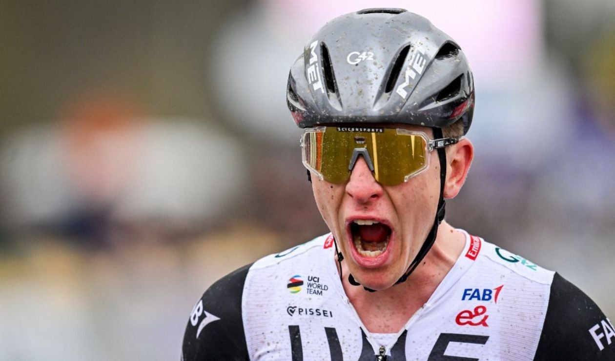 Tadej Pogacar Tour de Flandes