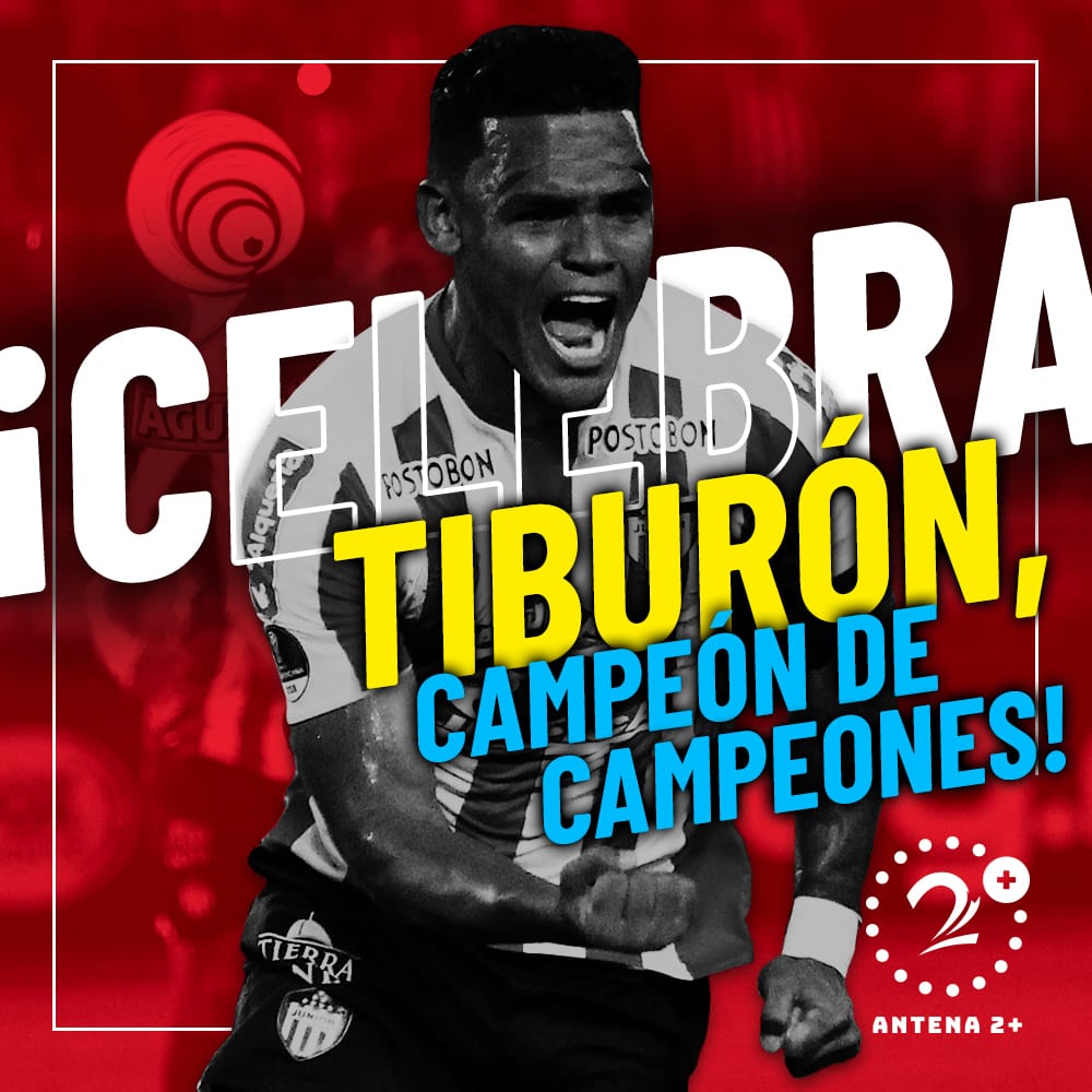 Junior campeón