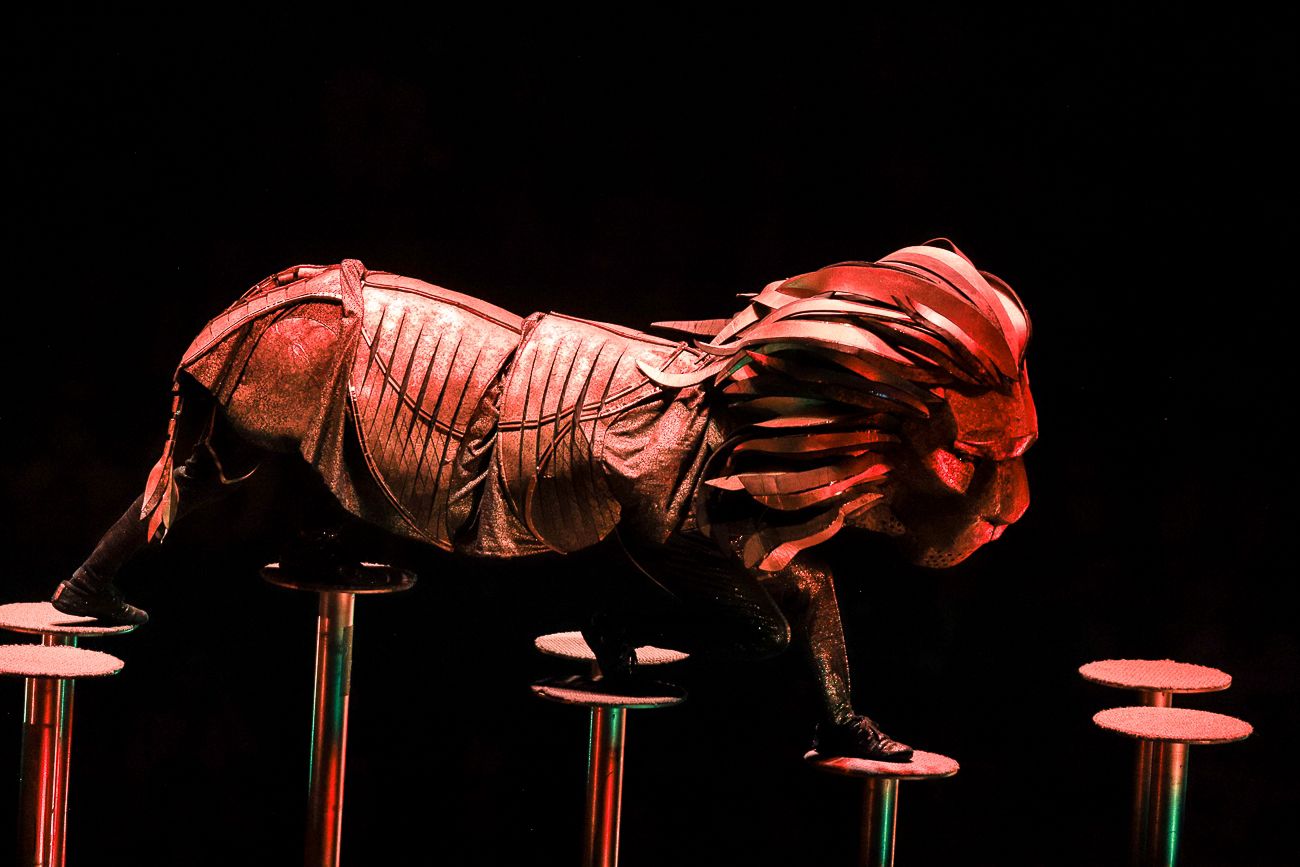 Lionel Messi, Circo del Sol en Bogotá